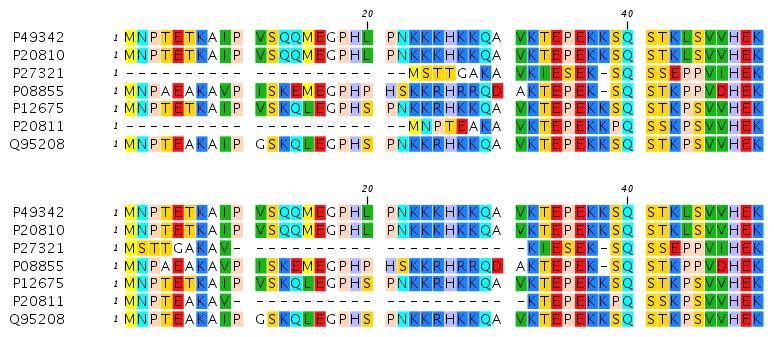 Multiple sequence alignment and phylogeny CLUSTALW, MUSCLE etc.