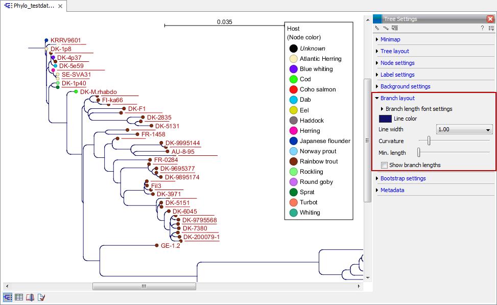 This permits to identify mutations and divergent nucleotides/aa residues MSA