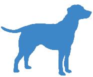 Diagnosi di leucemia eritroide acuta (AML-M6) in un cane Gli autori presentano un caso di leucemia eritroide acuta con componente mieloblastica (AML-M6) in un cane.