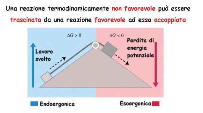 Reazioni