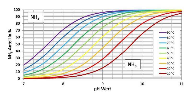 5.Solubilità Ammonio/Ammonica Senza modifica