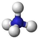 proteine: l aminoacido