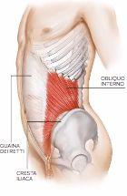 iliaca Azione unilaterale: flessione laterale del tronco.