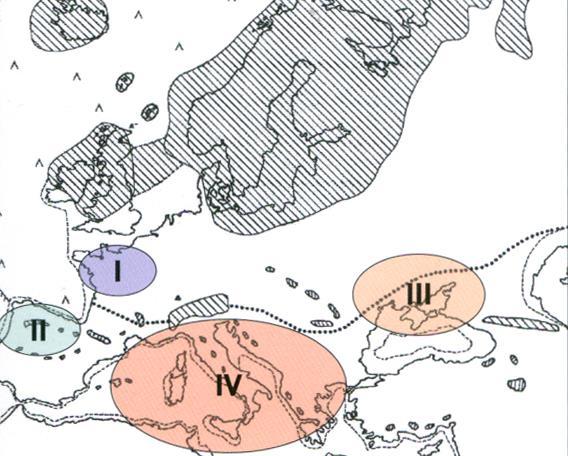 Con l avanzare dei ghiacciai molte popolazioni del Nord-Europa si estinsero, altre sopravvissero in alcune aree di rifugio