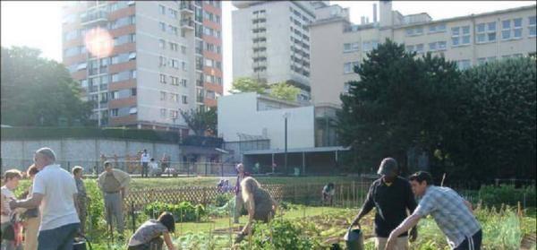 Agricoltura urbana (A.U.) e periurbana Food policy la politica dell A.U. sempre più consapevole e meno casuale trasformare i non luoghi in luoghi della A.