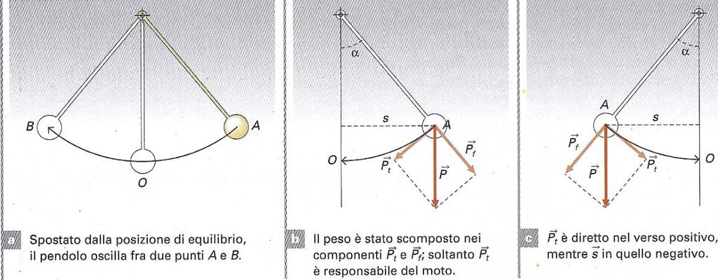 Conclusione: Una pallina collegata ad una molla, sotto l azione della forza elastica F= ks, si muove di moto armonico. Il diagramma spazio-tempo di un moto armonico è una cosinusoide.