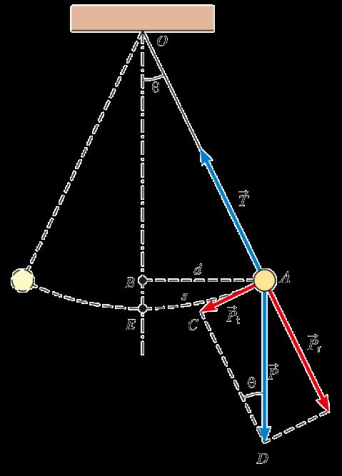 IL PENDOLO I triangoli AOB e DAC sono simili, quindi i loro lati sono in