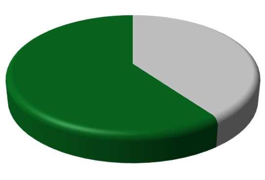 Biogas 15% Natural