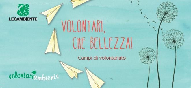 Campi di volontariato Un campo di volontariato è un' esperienza unica durante la quale ogni partecipante ha la