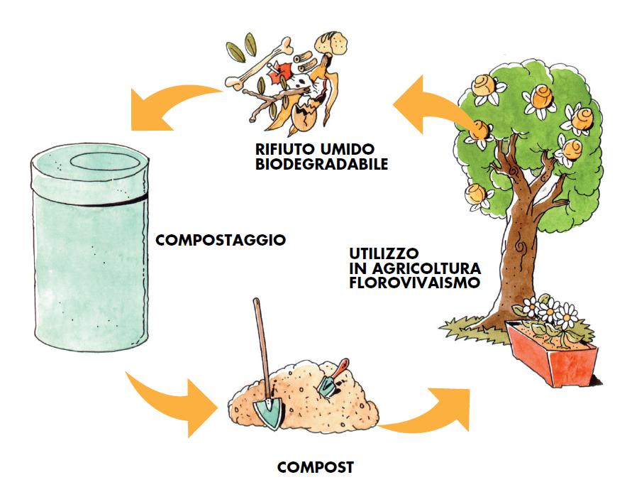 Il compostaggio domestico la prima buona pratica per ridurre i rifiuti IL COMPOSTAGGIO IMITA LA NATURA Con il compostaggio vogliamo imitare, riproducendoli in forma controllata e accelerata, i