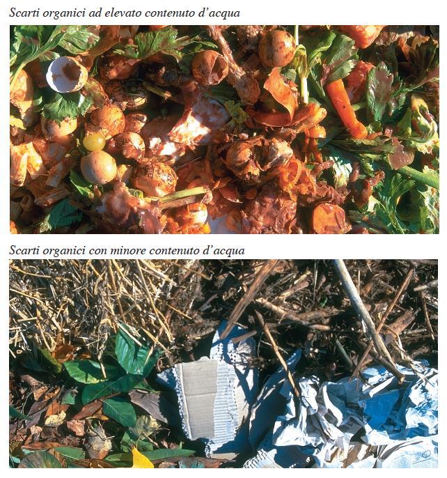 Cosa compostare Le materie prime per la produzione del compost sono tutti gli scarti (residui ed avanzi di ogni tipo) organici, biodegradabili, ovvero aggredibili dai microrganismi (tra