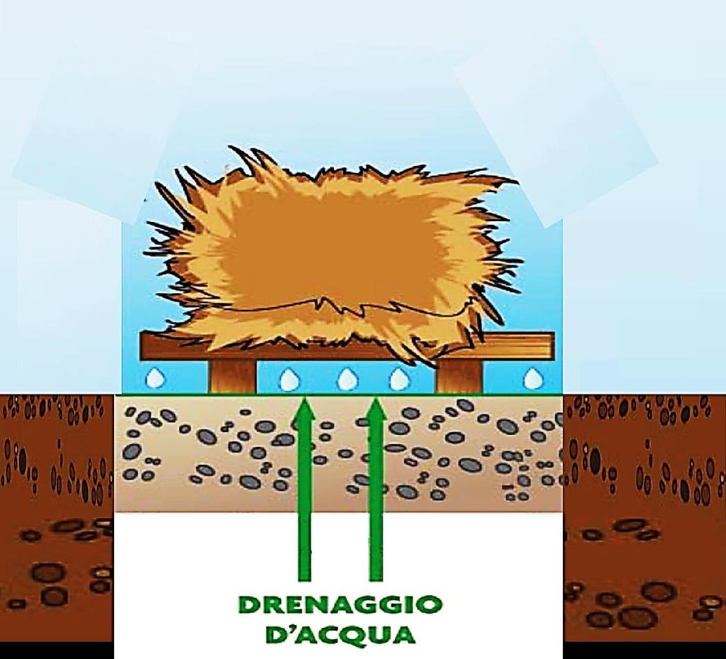 Le 5 regole «d oro» del compostaggio 2 regola: garantire un buon drenaggio Per iniziare il processo, è bene preparare un fondo con materiale legnoso e mescolare del compost vecchio o del terriccio,