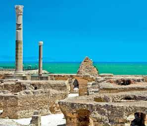 Chott El Djerid, Chebika, Tozeur, Sbeitla, Kairouan, Cartagine, Sidi Bou Said UN BELLISSIMO ITINERARIO PERCORSO TRA GLI INCREDIBILI PAESAGGI DEL DESERTO DEL SAHA- RA E DELLE OASI DI MONTAGNA,