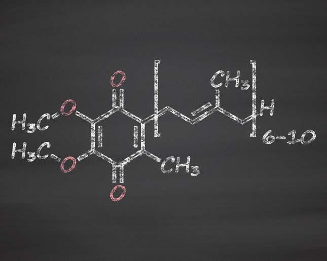capsule COENZIMA Q10 3F Il coenzima Q10 è una sostanza vitamino-simile molto diffusa in natura.