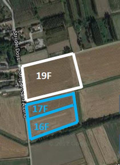 SCHEMA PROVE IN CAMPO PROVA VARIETALE 9 varietà 3 località 5 tempi di prelievo Replica 2 Replica