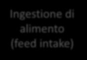 Ingestione di acqua di abbeverata Ingestione di alimento (feed