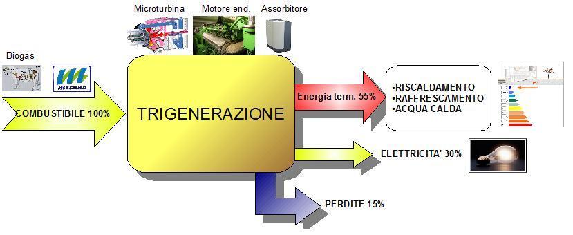 TRIGENERAZIONE RENDIMENTO CALDAIA COSTO PRODUZIONE ENERGIA TERMICA costo dell'elettricità 0,26 al kwh per le forniture "medie" domestiche costo del metano di 0,90 al metro