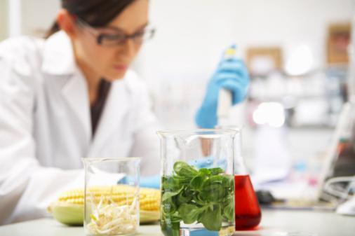 STA II: Piano Studi Dipartimento SAFE INSEGNAMENTI: Primo anno Microbiologia degli Alimenti