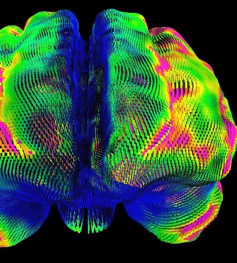 LA E IL CERVELLO PSICOFARMACOLOGIA DELLA GENI, CRESCITA NERVOSA