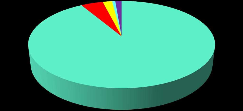 Flusso in uscita RIENTRO IN H 5% RSA 2% RSAO 1% DECESSO 1% DOMICILIO 91%