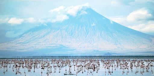 GIORNO 1 ITALIA / KILIMANJARO Partenza dall Italia per la Tanzania. Arrivo all aeroporto Kilimanjaro e trasferimento immediato alla struttura. Tempo libero. Volo per la Tanzania.