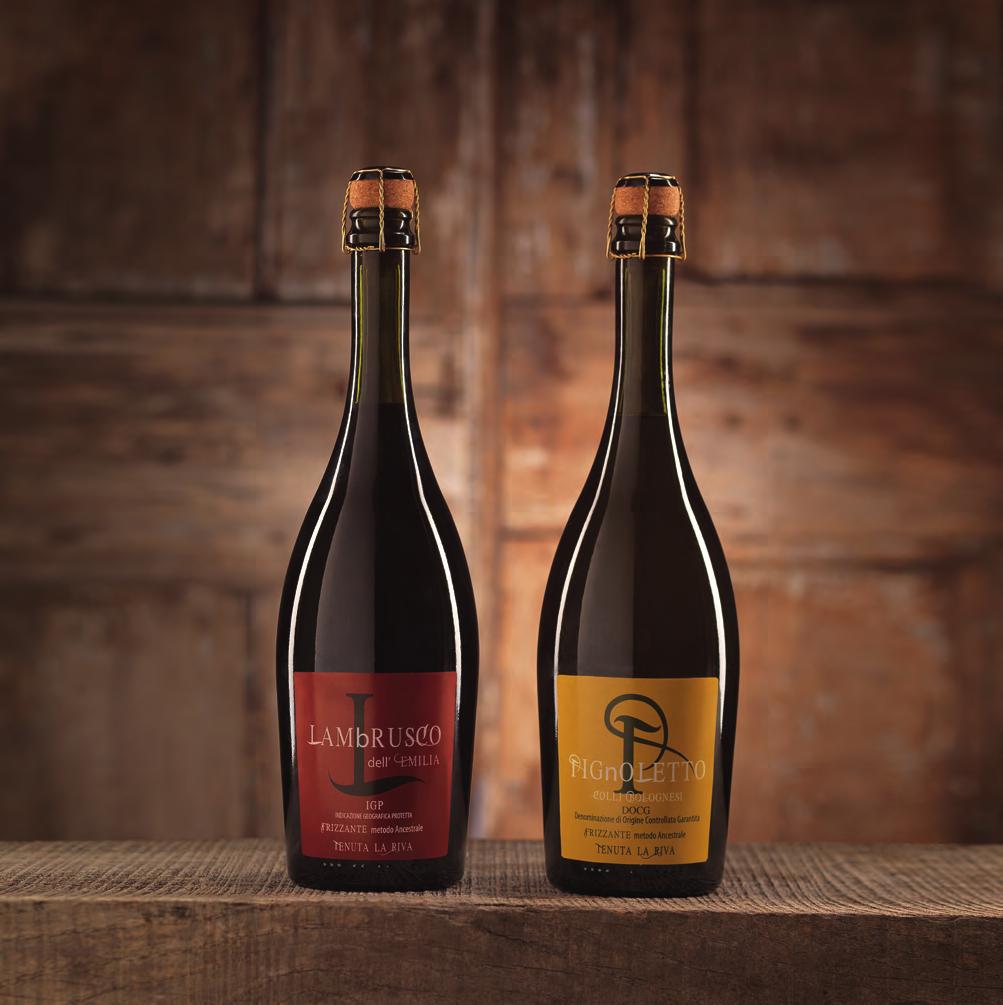 LAMBRUSCO Vitigno: Lambrusco Grasparossa 100% Rifermentazione: frizzantura naturale in bottiglia metodo ancestrale per una qualità e longevità maggiore.