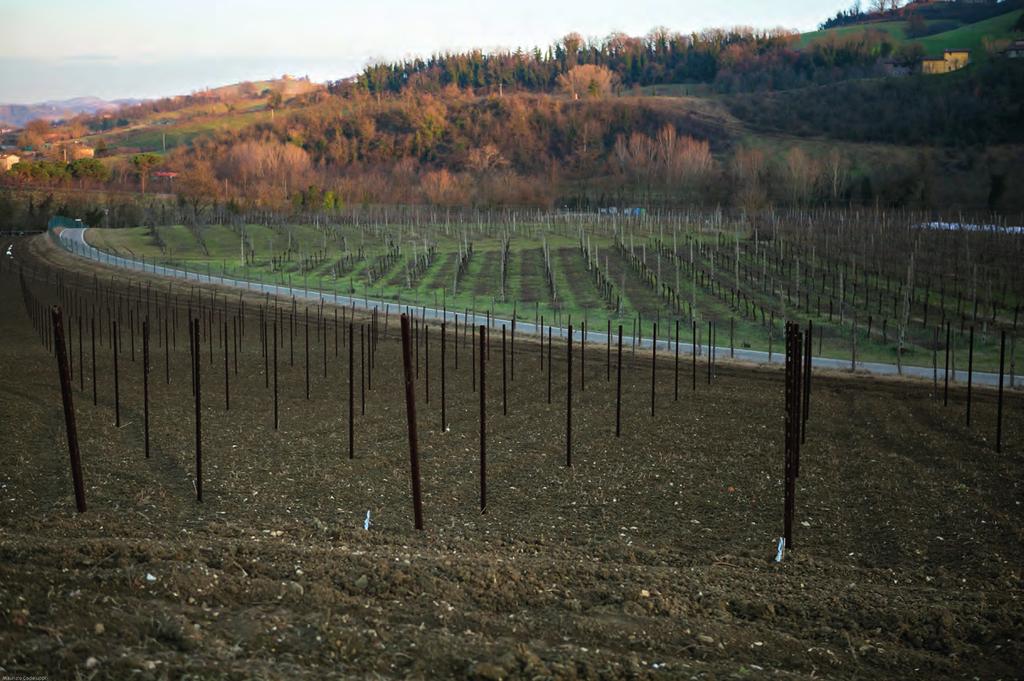 Tenuta la Riva Via Farnè - Castello di Serravalle