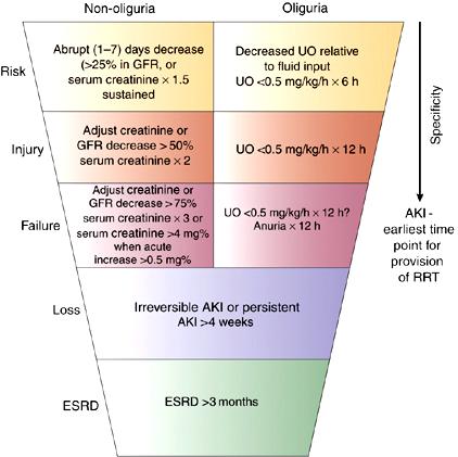 La definizione/classificazione della