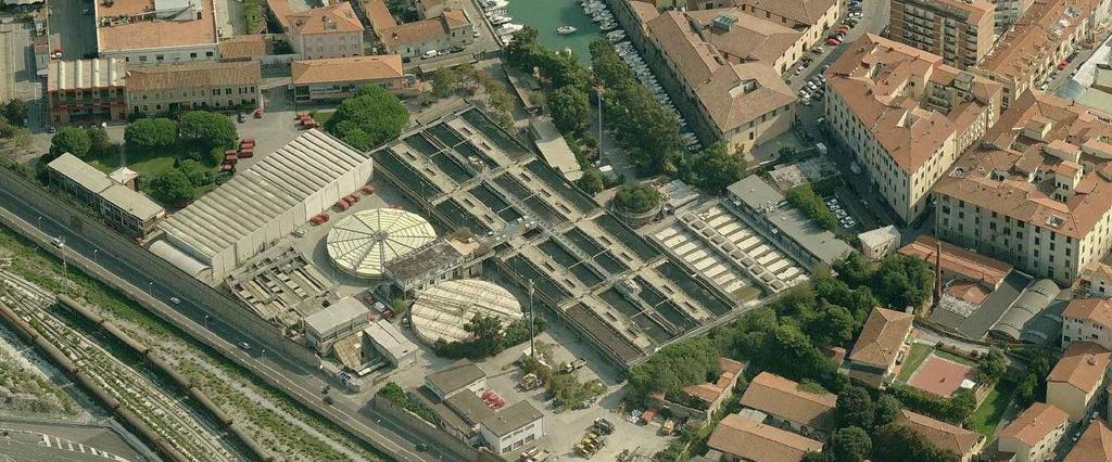 Rivellino - Il depuratore di Livorno Stato attuale Potenzialità 239.