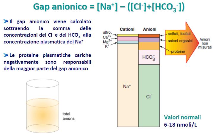 CALCOLO DEL GAP ANIONICO Il gap anionico è la differenza tra la concentrazione di sodio nel siero (principale catione) e la somma delle concentrazioni di bicarbonato e cloruro (principali anioni) GAP