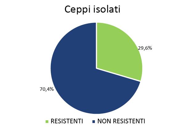 Risultati: Microrganismi