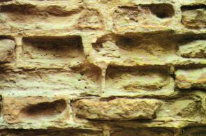 Ma possono verificarsi altre tipologie di danno sulle murature, ed altri effetti sul microclima interno all'abitazione, quali: Formazione di muffe nelle murature interne
