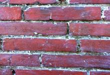 Il supporto murario deve essere poroso, come normalmente sono costituiti tutti i materiali minerali impiegati in edilizia, con una superficie non impermeabilizzata o in presenza di pitture