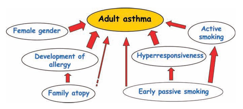 Nel 2006 Goksor identifica i criteri di rischio per la persistenza di asma allergico dal bambino all adulto.