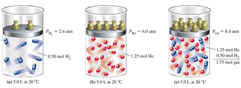Miscele di gas ideali In una miscela gassosa ogni componente esercita la stessa pressione che eserciterebbe se fosse da sola nel contenitore.