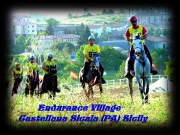 categorie di gara Ore 17:30 Convegno sul cavallo PSO Purosangue Orientale Ore 18:30