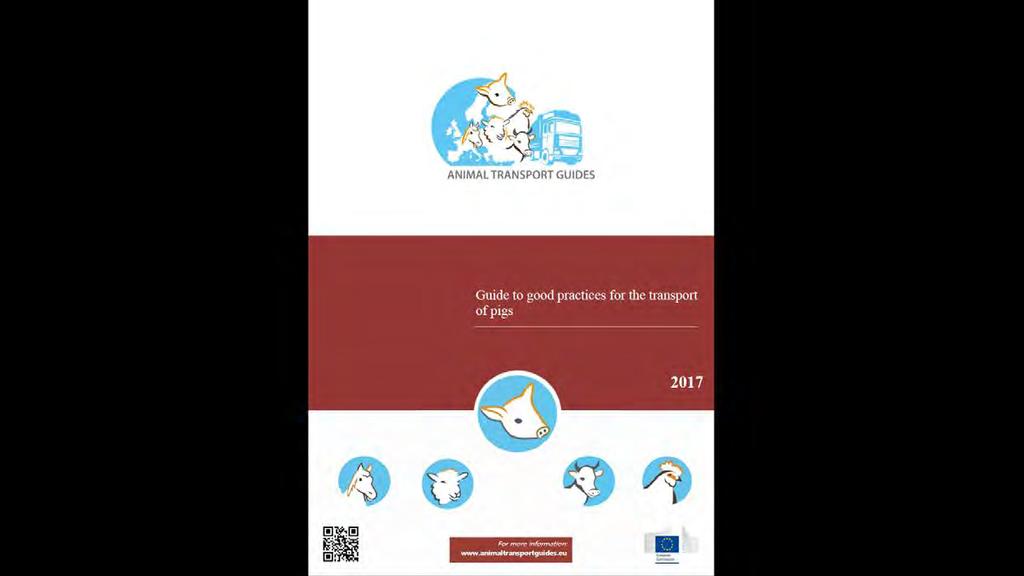 Guide finali Su incarico della Commissione Europea le Guide sono state scritte da un consorzio di 10 Paesi,