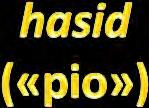 Partiti e gruppi giudaici: Asidei (Hasidim)