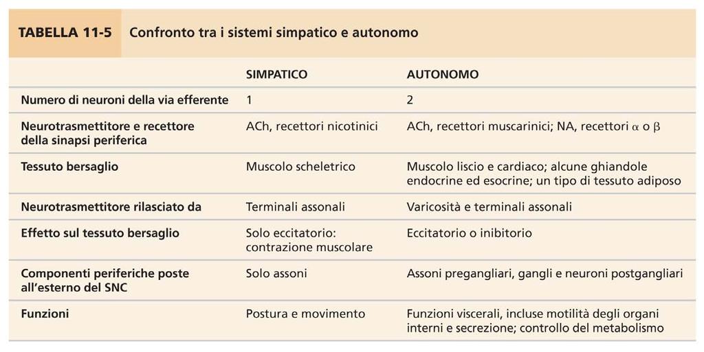 CONFRONTO TRA SISTEMA