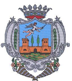 CITTA DI PARABITA Provincia di Lecce C.F. : 81001530757 (C.A.P. 73052) P. IVA : 00434950754 REG. N. 370 / 2009 del 02.07.2009 DETERMINAZIONE N. 106 DEL 30.06.2009 / 1 Settore OGGETTO: Indizione Selezioni di n.