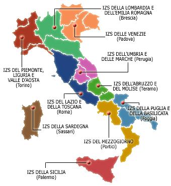Il Network italiano