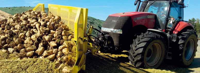 Tutti i vantaggi della barbabietola da biogas Dal punto di visto agronomico, la barbabietola è una coltura miglioratrice del terreno e la sua introduzione nella rotazione garantisce il mantenimento