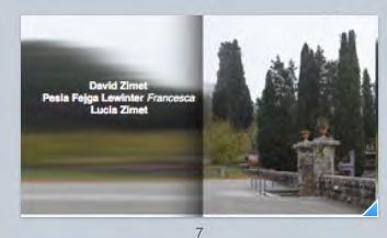 David Zimet è sepolto nel Cimitero Comunale di Rigaiolo in un luogo non precisato di una zona però certa del cimitero, mentre della moglie Pesia Fajga Lewinter, Francesca come la chiamavano i