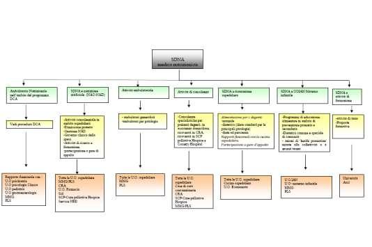 Anno 2011 Istituzione struttura semplice di tipo B- coordinamenti dietetica e nutrizione aziendale