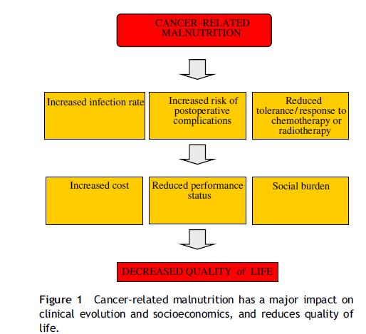 Malnutrizione: minor sopravvivenza minor risposta alla chemioterapia maggior rischio