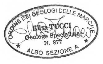 2017 Geologo B. Prugni Coll. Geol. E. Tucci Geol.