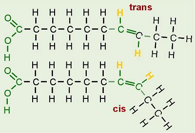 insaturi, l orientamento l spaziale della molecola intorno al doppio legame definisce il tipo (trans( o cis).