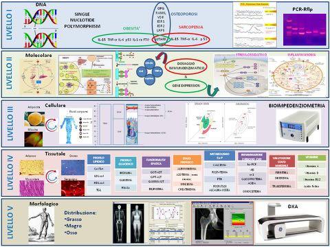 caratteristiche biochimiche: studio del profilo lipidico, glucidico, ossidativo ed infiammatorio Livello 3 Analisi