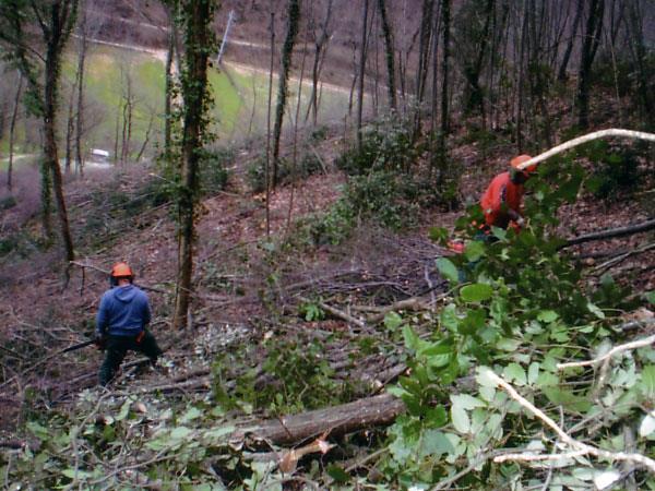 abbattere foreste) e KM 0 Può