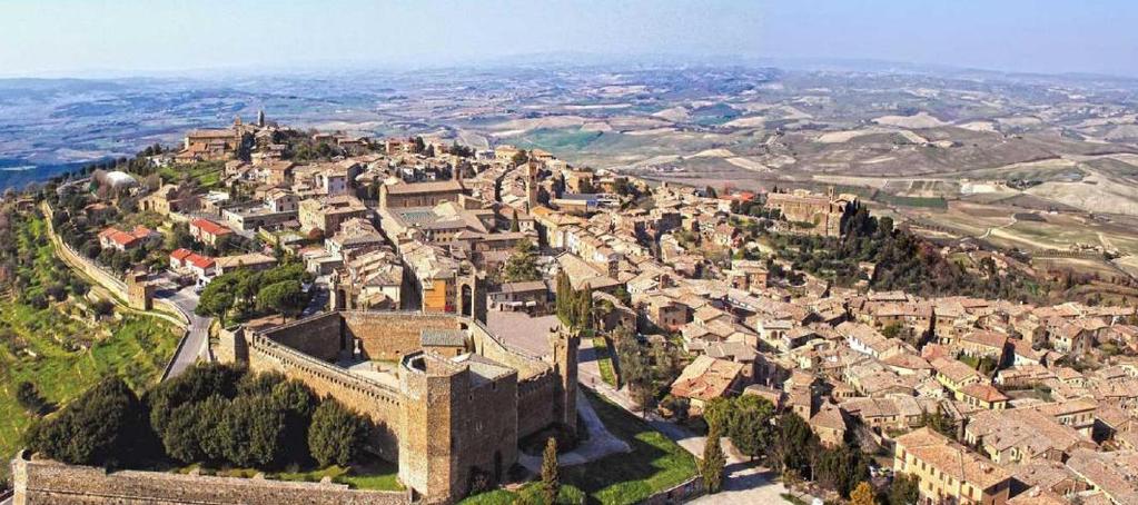 La forma di allevamento più utilizzata in vigna è il cordone speronato, ottenuto tramite una potatura corta a due gemme di un numero variabile di cornetti per ogni ceppo.